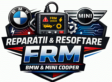 reparatii frm modul lumini bmw mini cooper